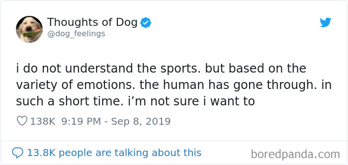 Dog Thoughts