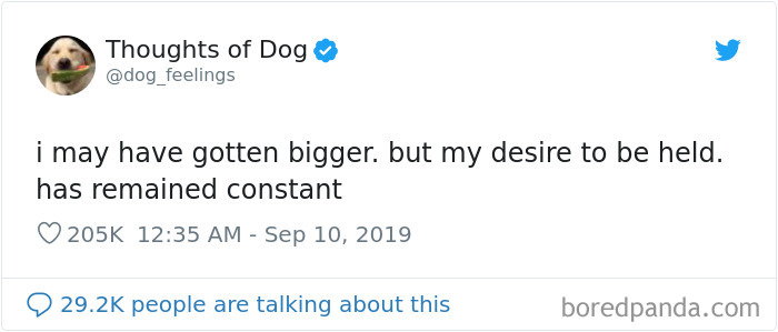 Dog Thoughts