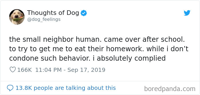 Dog Thoughts