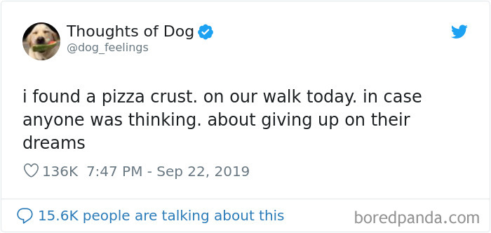 Dog Thoughts