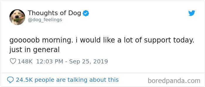 Dog Thoughts