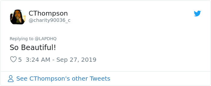 Homeless Woman Goes Viral For Incredible Singing Skills, Turns Out She Lost Her Home To Medical Bills