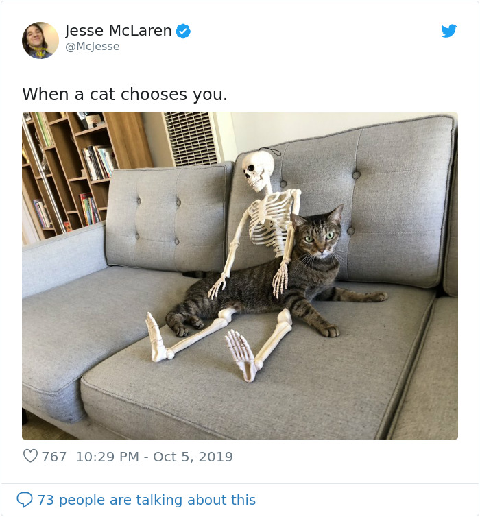 'He Was So Terrified When We Brought Him Home 2 Days Ago:' Man 'Rescues' An Abandoned Skeleton Decoration 'He Was So Terrified When We Brought Him Home 2 Days Ago:' Man 'Rescues' An Abandoned Skeleton Decoration