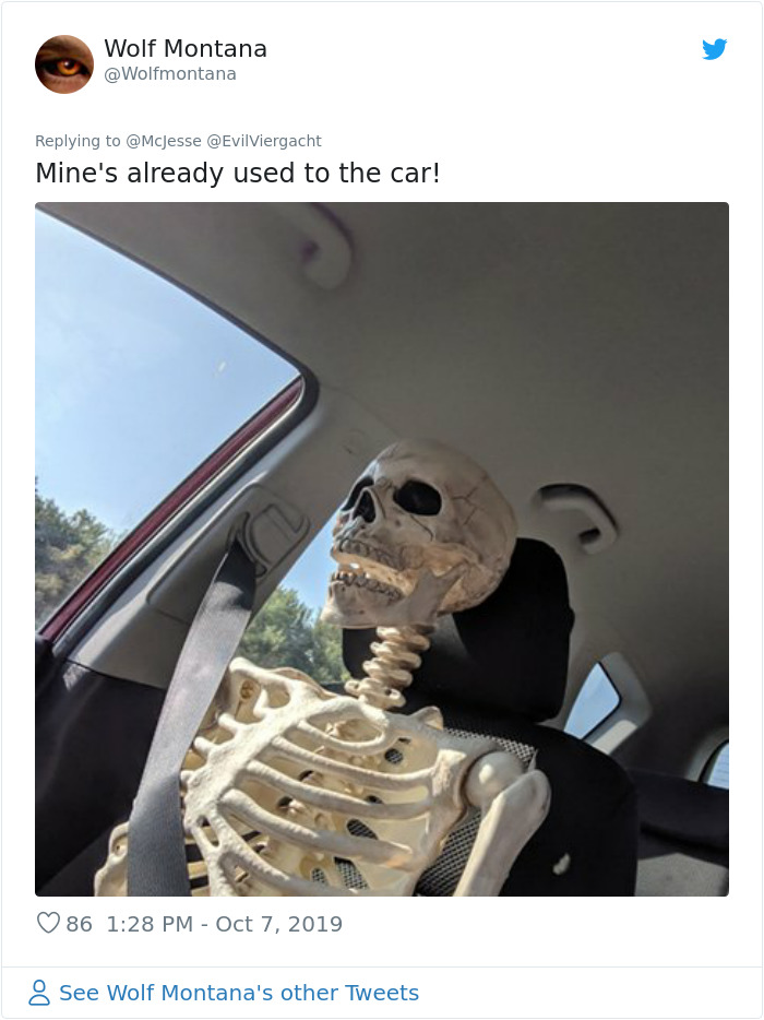 'He Was So Terrified When We Brought Him Home 2 Days Ago:' Man 'Rescues' An Abandoned Skeleton Decoration