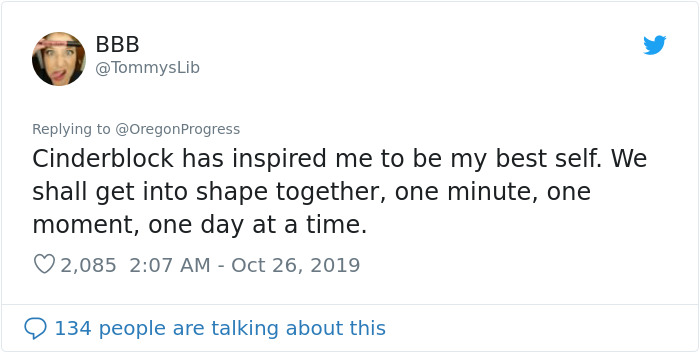 Chonky Cat Goes Viral For Being Annoyed By Underwater Workout