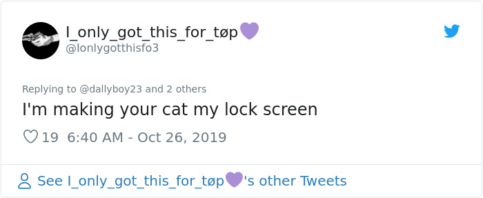 Foster Kitty Gives The Cutest Smile During A Photoshoot And It Takes Over The Internet