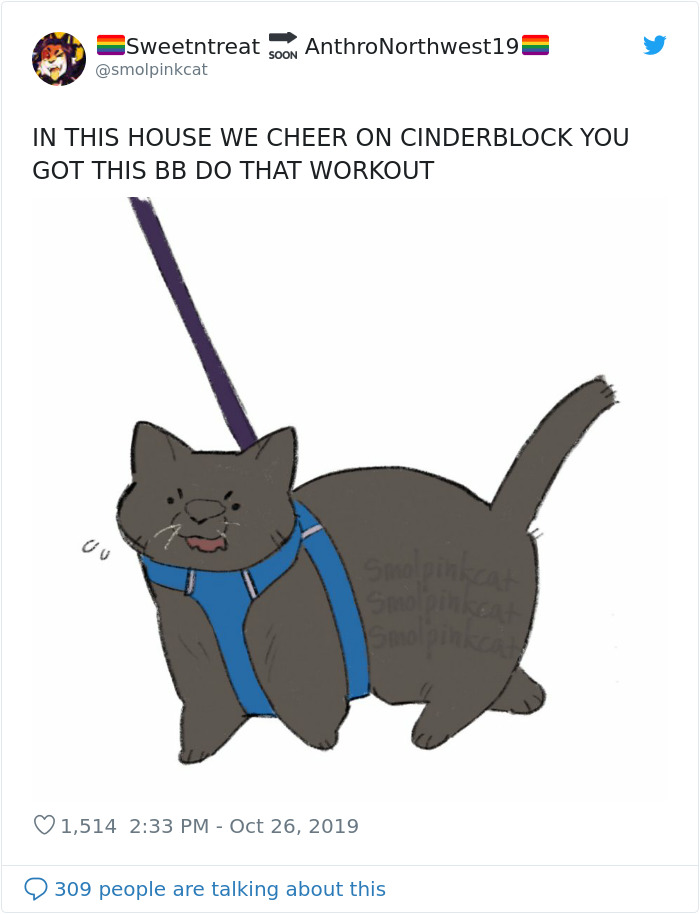 Chonky Cat Goes Viral For Being Annoyed By Underwater Workout