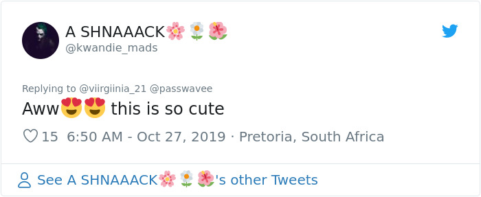 Foster Kitty Gives The Cutest Smile During A Photoshoot And It Takes Over The Internet