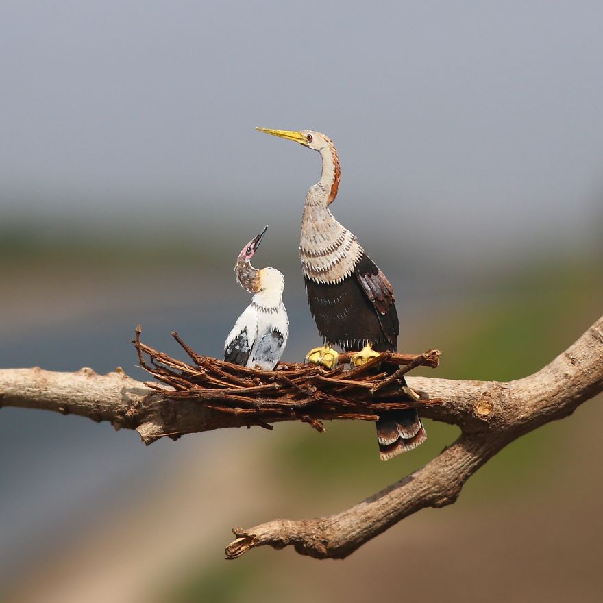 We’ve Been Creating Miniature Paper Birds And Animals Every Day Since 1st January 2018