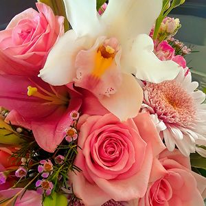 mlikourgiotis avatar