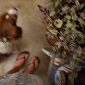 rebecca102176 avatar