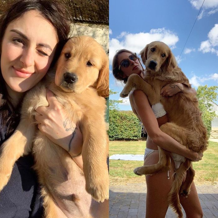 Pet-Dog-Funny-Photography-Soulmates-Hugo-Huxley-Ursula-Aitchinson