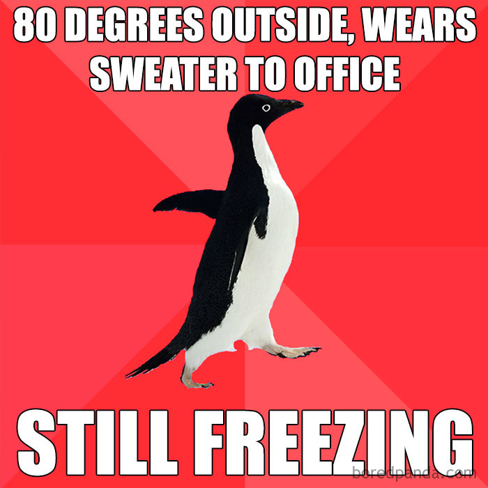Penguin meme joking about freezing in the office despite warm weather outside.