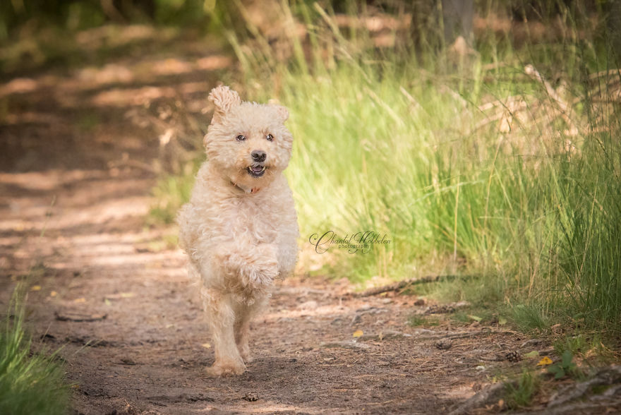 Binky Running Binky Running