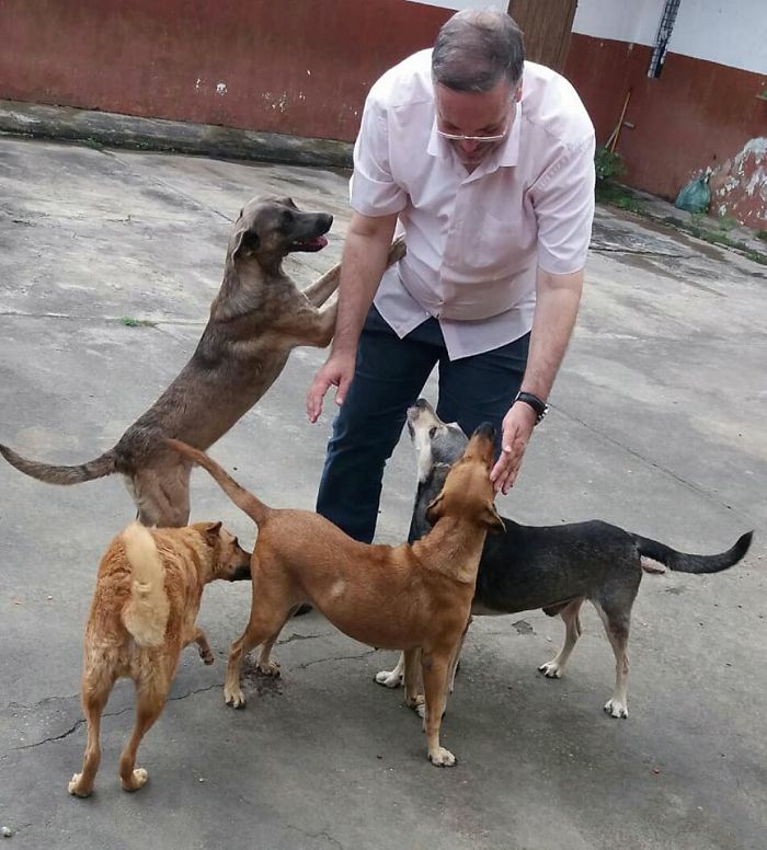 A Kind Priest Brings Stray Dogs To Mass So They Can Find New Families A Kind Priest Brings Stray Dogs To Mass So They Can Find New Families