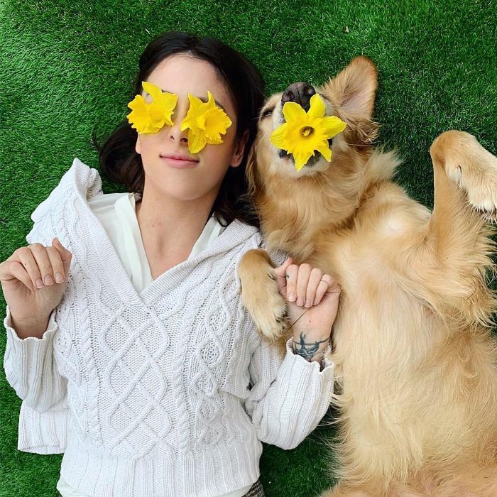 Pet-Dog-Funny-Photography-Soulmates-Hugo-Huxley-Ursula-Aitchinson