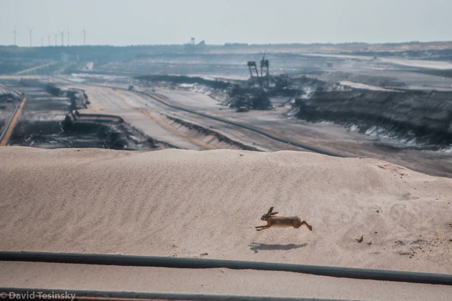 I Went To Break Through The Police With The Activists For A Good Thing To See That Change Is Possible I Went To Break Through The Police With The Activists For A Good Thing To See That Change Is Possible
