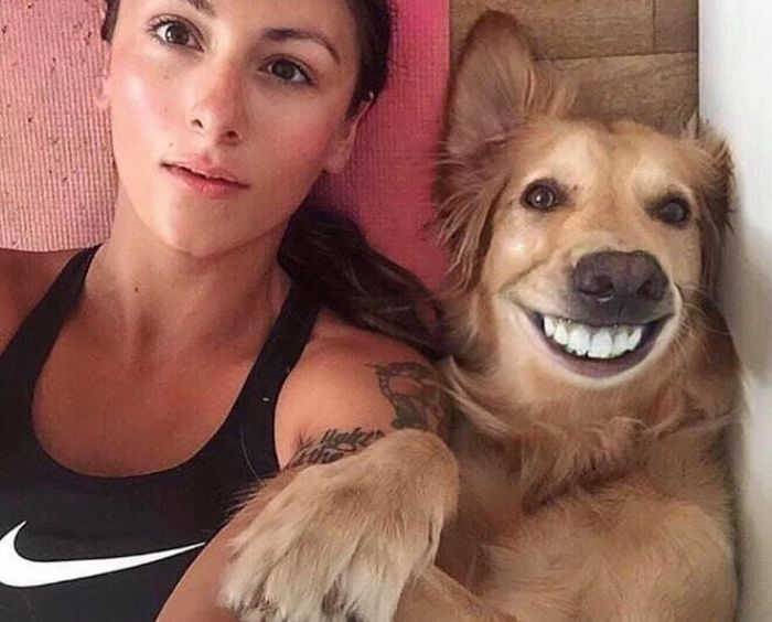 Pet-Dog-Funny-Photography-Soulmates-Hugo-Huxley-Ursula-Aitchinson