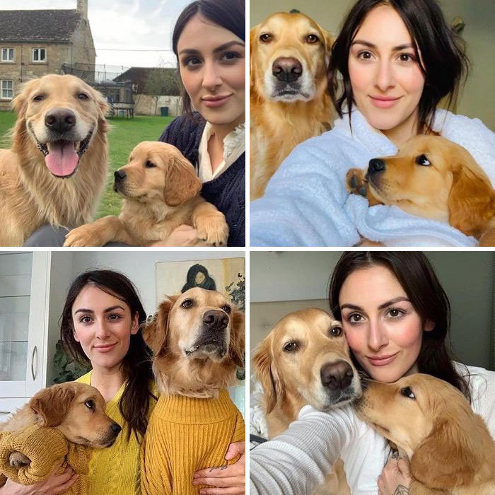 Pet-Dog-Funny-Photography-Soulmates-Hugo-Huxley-Ursula-Aitchinson