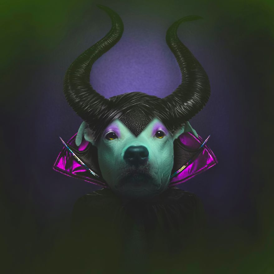 "You Poor Simple Fools"