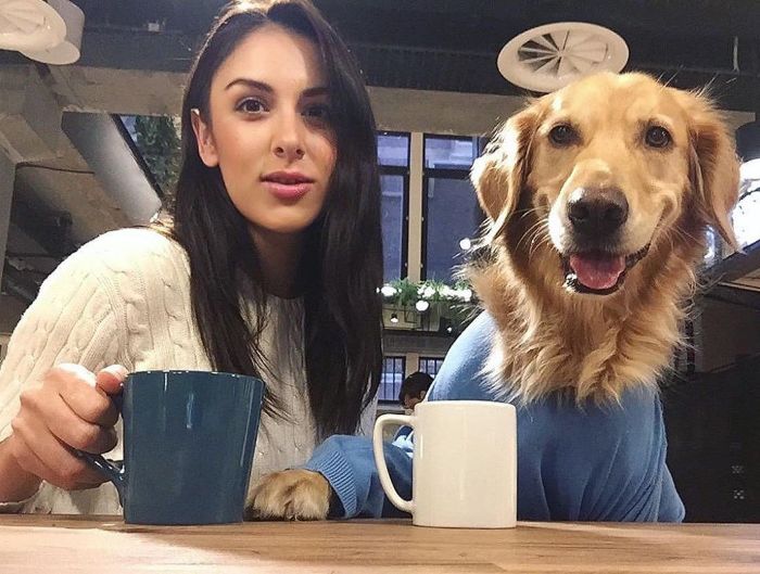 Pet-Dog-Funny-Photography-Soulmates-Hugo-Huxley-Ursula-Aitchinson