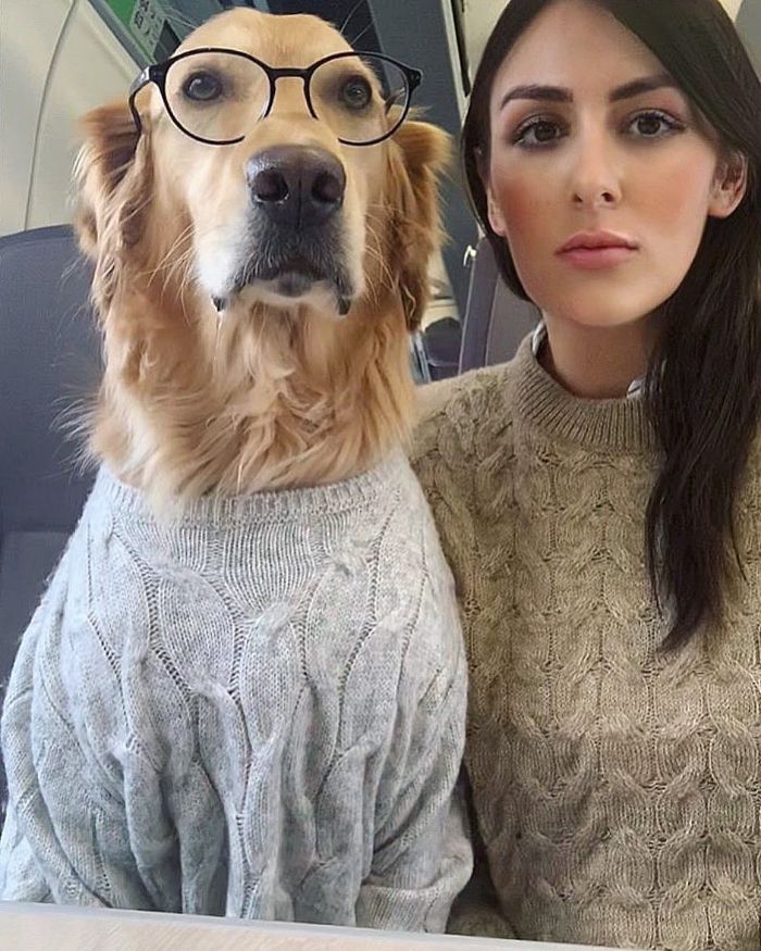 Pet-Dog-Funny-Photography-Soulmates-Hugo-Huxley-Ursula-Aitchinson