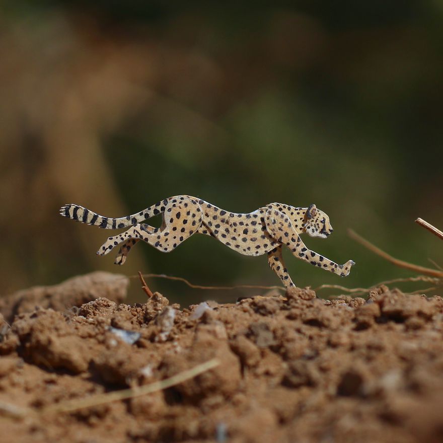 We’ve Been Creating Miniature Paper Birds And Animals Every Day Since 1st January 2018
