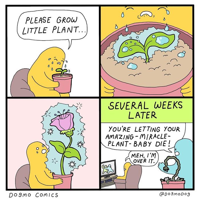 American Artist Creates Fun Comics To Make Reflections About Our Daily Lives