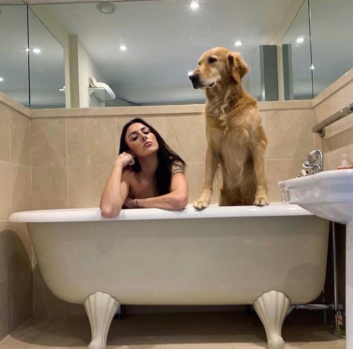 Pet-Dog-Funny-Photography-Soulmates-Hugo-Huxley-Ursula-Aitchinson