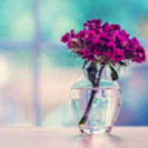 mintycooki1000 avatar