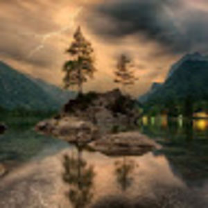 desireezahner avatar