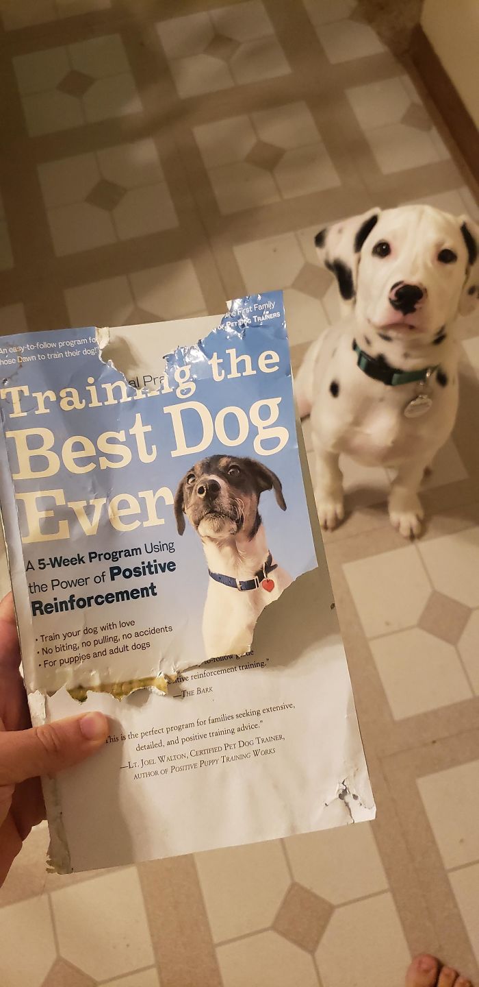 The Irony's Not Lost On Me