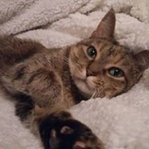 nick_reynolds_2006 avatar