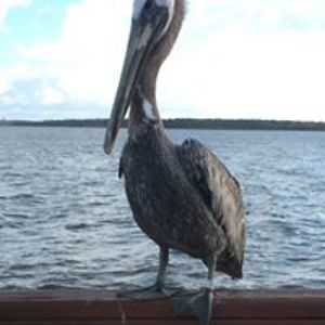 jadenncopeland avatar