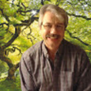 chrismerchant_2 avatar