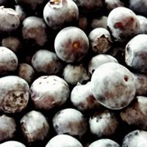 evabianca_lents avatar