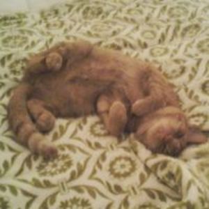 aquamarine1909 avatar