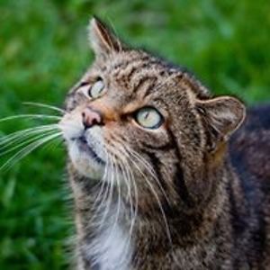 ruthie_riegler avatar