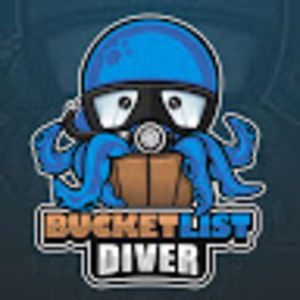 bucketlistdiver avatar