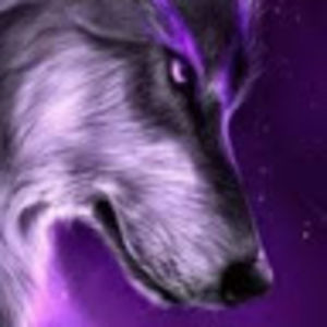 conleyknowles avatar