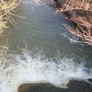 sandyjosaved7 avatar