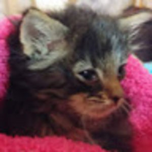 jordynowensby avatar