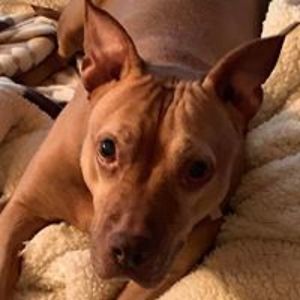 emilyward1970 avatar