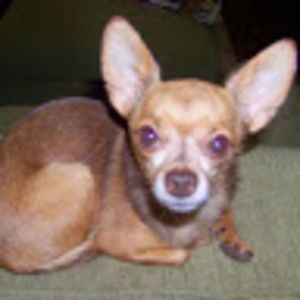 parthaniadroho avatar