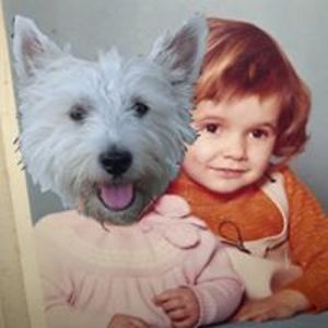 carlton_l_fox avatar