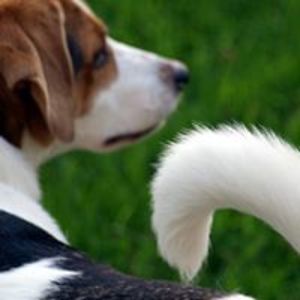 leiha_johnson avatar