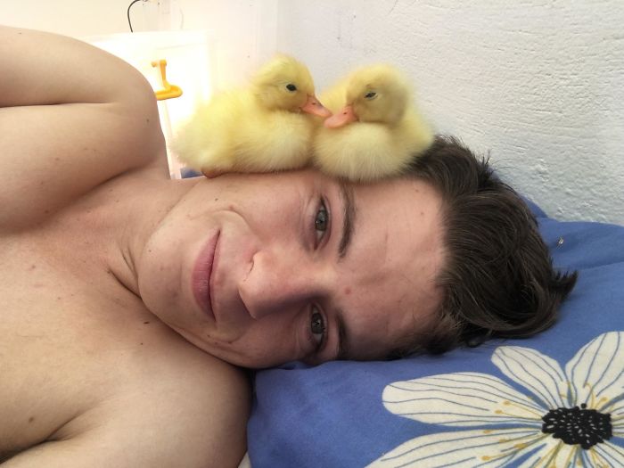 A person lying down with two cute ducks on their head on a pillow with a floral design.