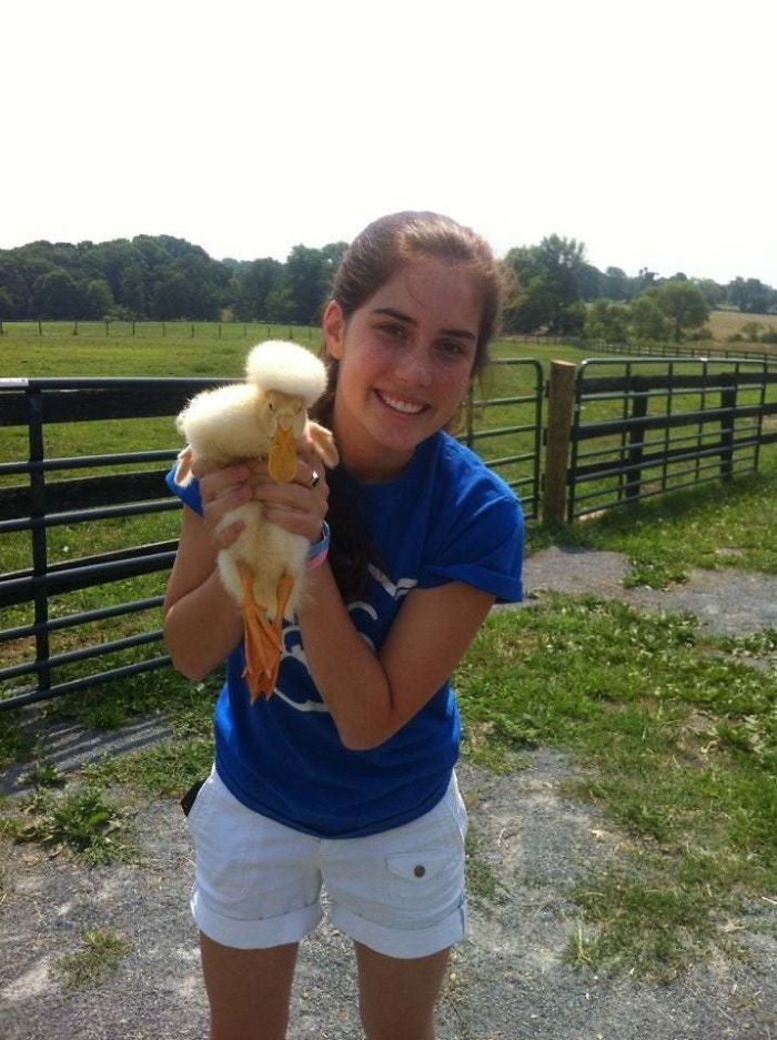 Wholesome-Cute-Duck-Pics