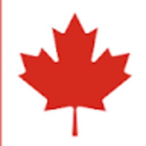 matthewmaldonado avatar