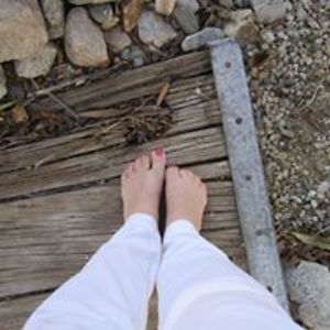 diane_mittelstadt avatar